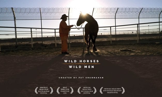 Wild Horses & Wild Men